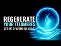 Regenerate Your Telomeres | Get Rid Of Cellular Aging | Stay More Healthy Young and Strong | 285 Hz