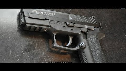 Sig Sauer SP2022: Field Strip, Operation and Disassembly! (World Of Guns: Disassembly)