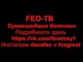 FEO-ТВ.  CRAZY белки