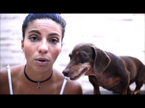 Vídeo: Queimaduras Nas Patas Dos Cães: O Que Fazer