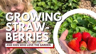 How we Grow Lots of Big Strawberries! Tour with Commentary