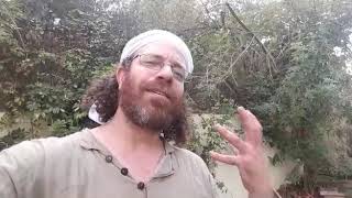 סיני תור ממליץ על נהר דעה