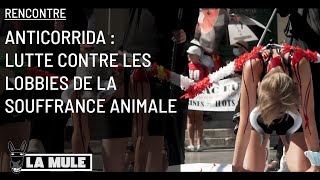 Anticorrida : lutte contre les lobbies de la souffrance animale