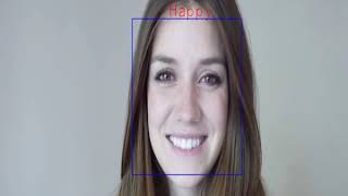 Facial-Expression-Recognition-with-CNNs