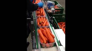 Flowpack Produktzuführung Möhren Eintaktung