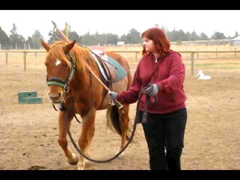 Vídeo: Lunging seu cavalo antes de andar