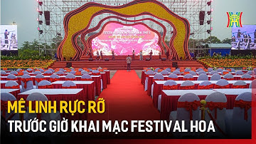Mê Linh rực rỡ trước giờ khai mạc Festival hoa  | Tin tức