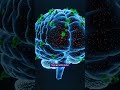 Can “Brain Rot” Be Cured?