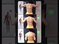 Treino de braços eficiente. #criadordeconteudo #exercícioemcasa#exercicios