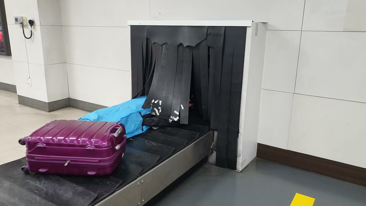 내 수하물 찾기