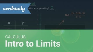 Famous Intro to Limits | Calculus - Nerdstudy Profile