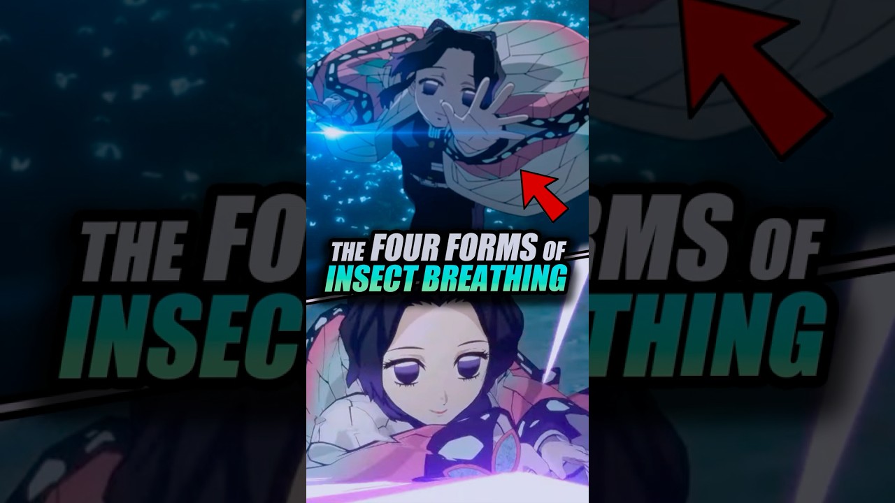 HOW DID SHINOBU CREATE  INSECT BREATHING IN DEMON SLAYER? 