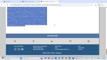 How to Make a Phylogenetic Tree using MEGA12 software