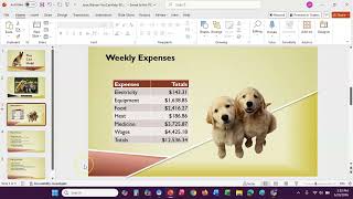 Celebrity PowerPoint Ch 2 Independent Project 2-6, Steps 1 -  11 Net Worth