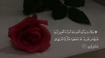 سورة يوسف بصوت القارئ احمد خضر🤎.