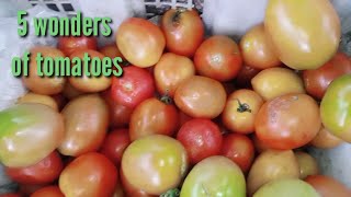 5 Manfaat Hebat Tomat untuk kesehatan kita salah satunya bisa mencegah kanker