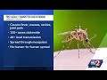 Orange County confirms first human case of locally-acquired dengue
