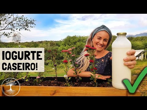 Faço meu famoso iogurte caseiro: super cremoso pro café da manhã na casa nova 😁👌