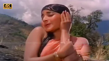 அம்மம்மா காற்று வந்து பாடல் | Ammammaa kaatru vandhu song | P. Susheela | Jayalalitha love song .