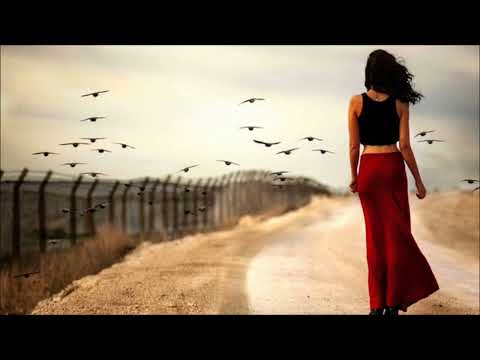 Красивая песня Гульмира Избасханова Сени сүйем 