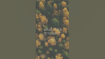 القران الكريم _ سورة الاسراء _ ماهر المعيقلي