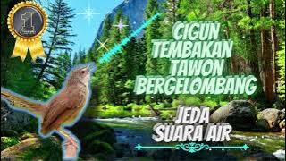 Cigun Bren Tembakan Gelombang Tawon    Jeda Suara Air