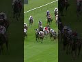 Scatter Dice wins the Cesarewitch at 66/1 🤯