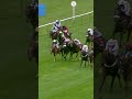 Scatter Dice wins the Cesarewitch at 66/1 🤯