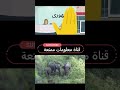 الجزء 1 الحلقة الاولي من قصة انت و انا #رواية_انت_و_انا