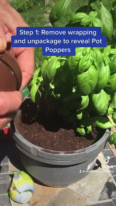 How To Apply Pot Poppers  The Environmental Factor Inc. 