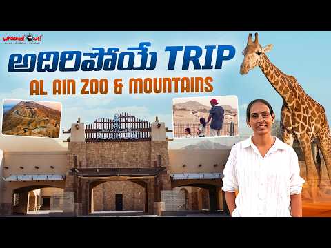 అదిరిపోయే Trip Al Ain Zoo & Mountains | 🦁🏔️ | Full Tour & Experience | UAE Telugu Vlogs