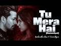 Tu Mera Hai (Deewaniyat) | Harshvardhan Rane, Sonam Bajwa | Vishal Mishra | Ek Deewane Ki Deewaniyat