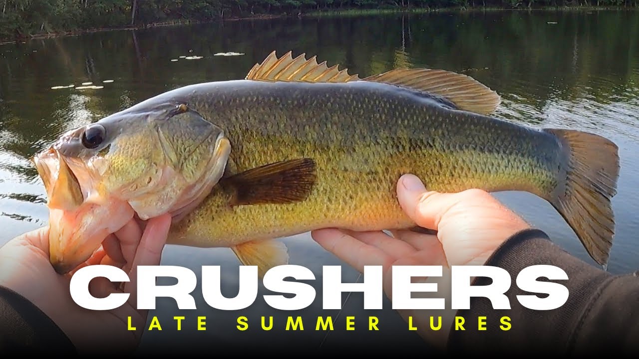 My Favorite Late Summer Bass Fishing Lures Might Surprise You!