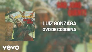 Vídeo de Ovo de Codorna