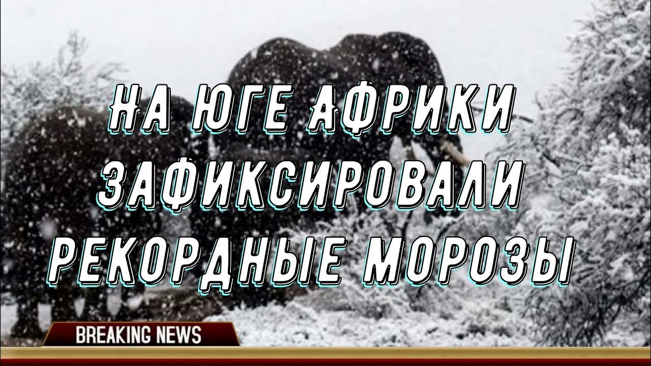 В каком городе юар снег. В каком городе юар снег