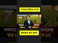 গোপালগঞ্জের লবণাক্ত জমিতে স্বপ্ন দেখাচ্ছে বিনাধান-১০ | Saline Land Farming Bangladesh