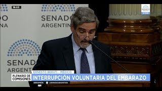 EN CONTRA: ERNESTO BERUTI  JEFE DEL SERVICIO DE OBSTETRICIA DEL HOSPITAL AUSTRAL 240718