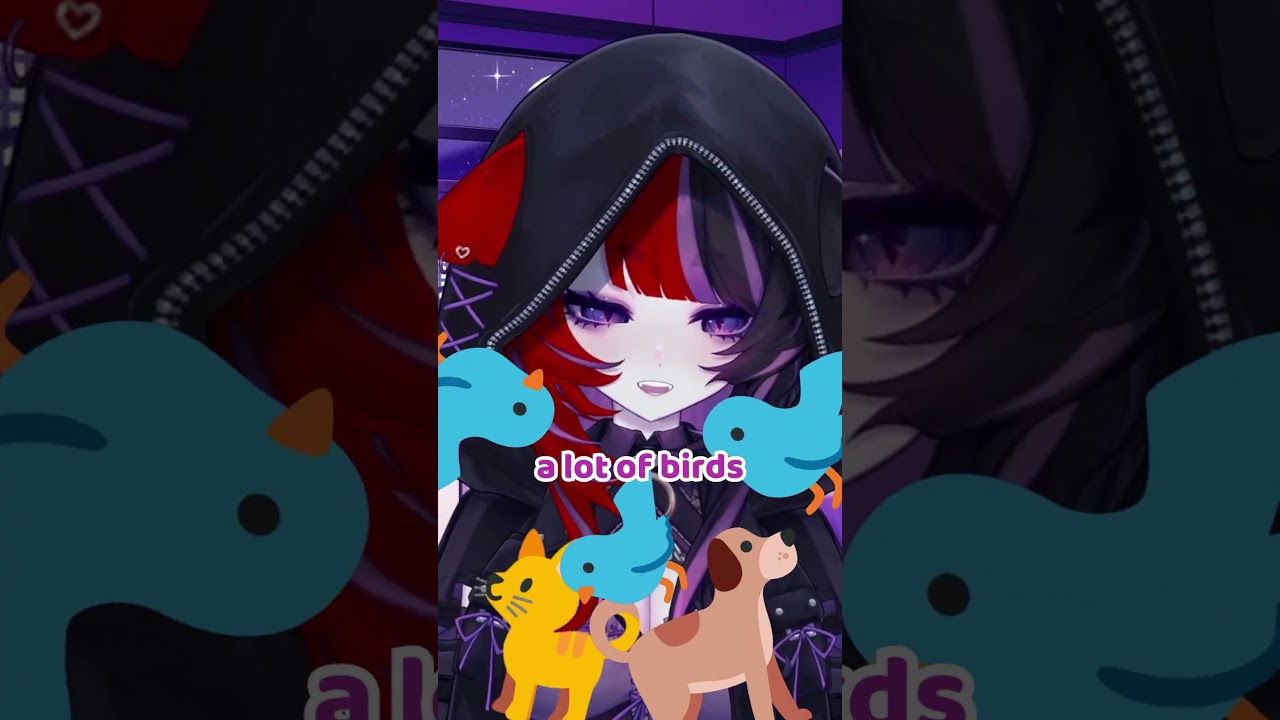 Немного сумасшедшая любительница животных 😌✨ 