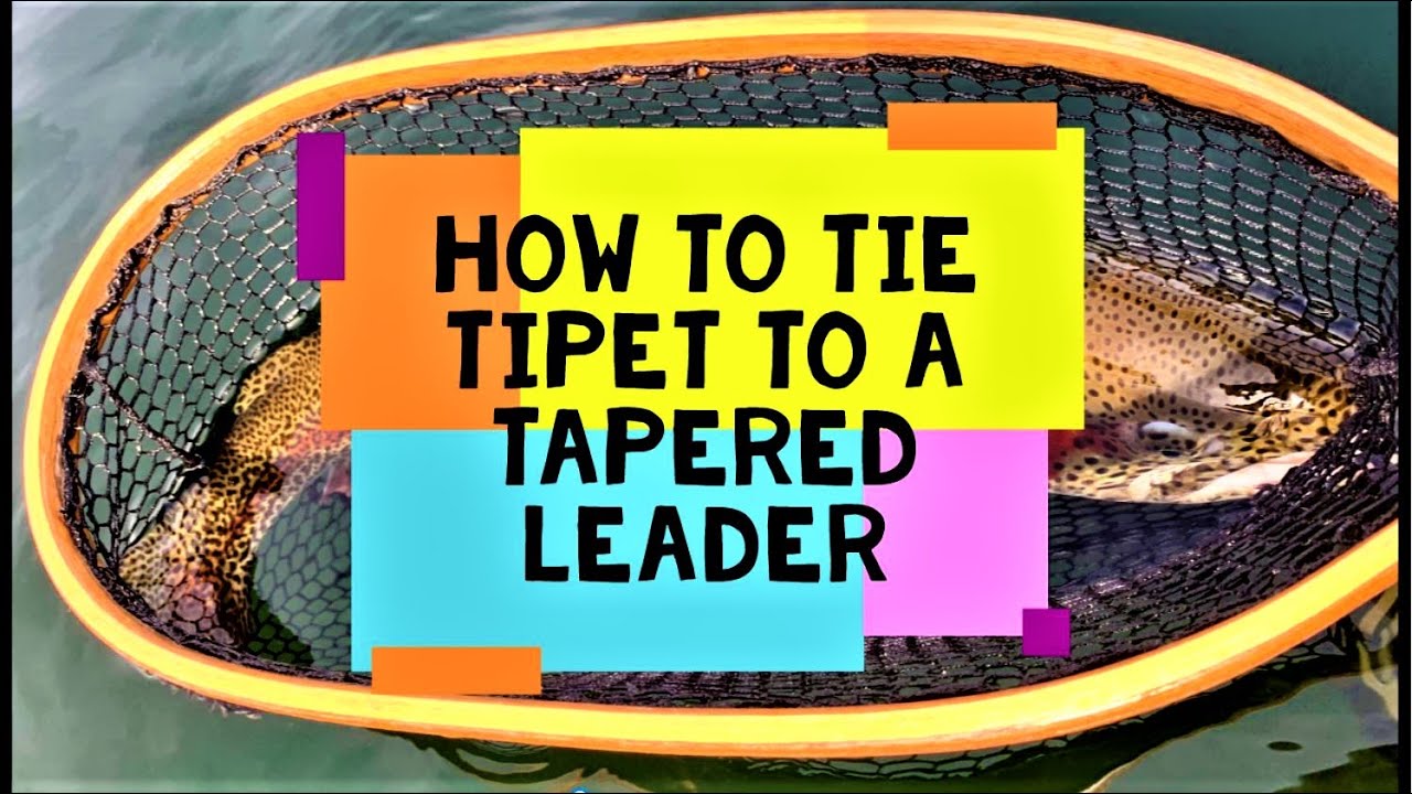 Fly Fishing for Beginners - How to Tie Tippet to Tapered Leaders