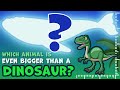 The Biggest Animal on The Planet | Brain Activity | Guess the Animal | Educational Video for Kids