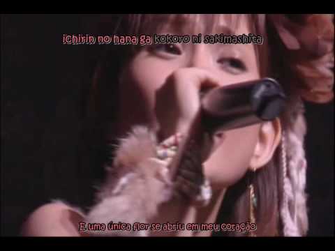 Natsumi Abe - Koi no Hana (Live) Legendado
