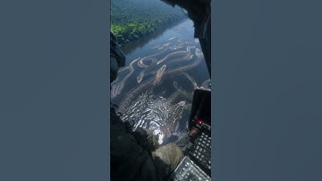 Thumbnail of 🚁🐍 UNBELIEVABLE Helicopter Footage Shows TITANOBOA Alive in Amazon Jungle?! 😱 #Titanoboa #shorts