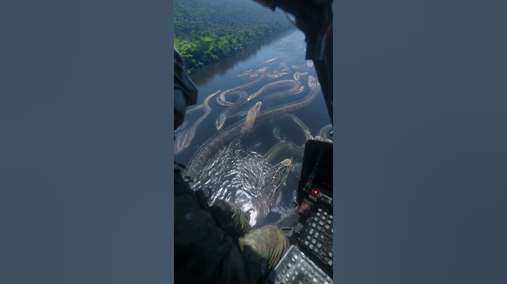 🚁🐍 UNBELIEVABLE Helicopter Footage Shows TITANOBOA Alive in Amazon Jungle?! 😱 #Titanoboa #shorts