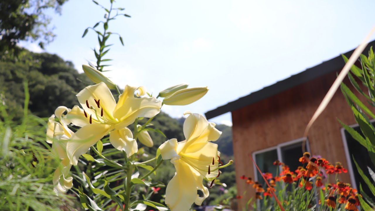 지리산 600 고지, 거치른 7월의 여름나기