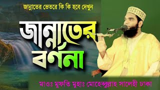 New Bangla Waz || জান্নাতের বর্ননা || Mufti Muhibbulla Salehi || মাওঃ মুফতি মোহেব্বুল্লাহ সালেহী