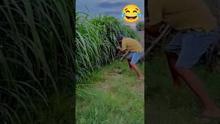 Epic Funny Moments Ep 232