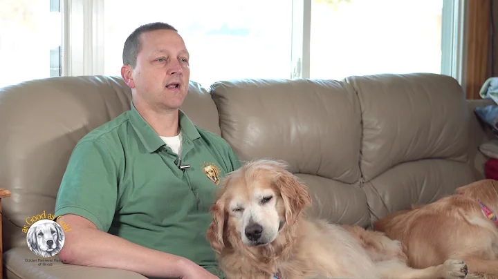 About As Good as Gold - Golden Retriever Rescue of Illinois 2018
