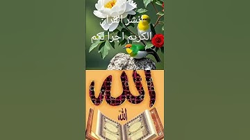 القران الكريم راحة نفسية رحمة و شفاء للناس #allah #المصحف #القرآن_الكريم #اكسبلور #الرحمن