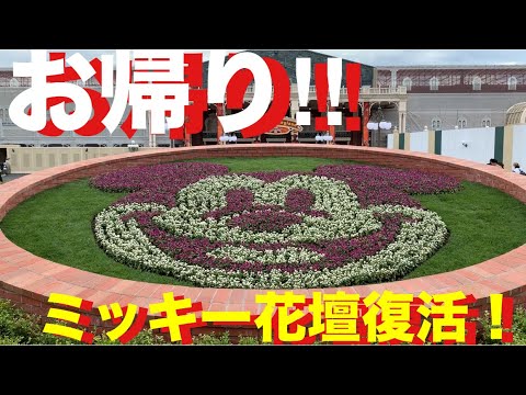 Tdl お帰り ミッキー花壇復活 19年9月24日 Youtube