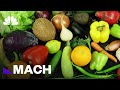New video by NBC News on YouTube